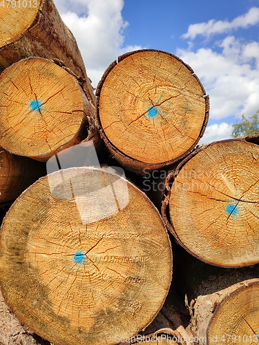 Image of batch of wood with blue dots