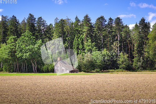 Image of Black Forest scenery with wooden hut