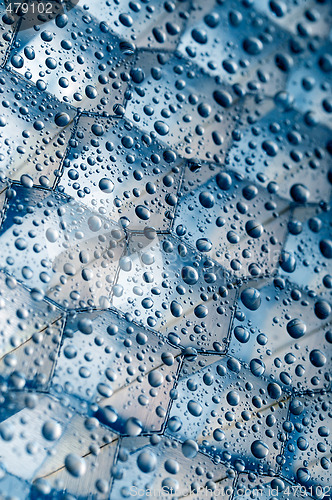 Image of waterdrops