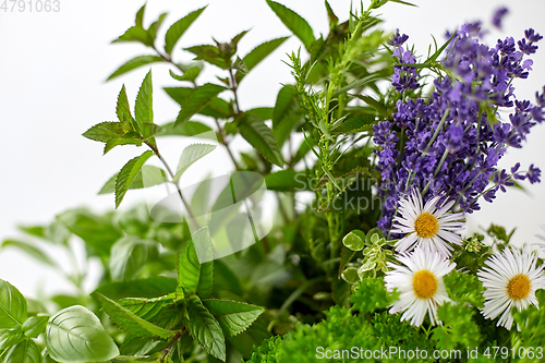 Image of close up of green herbs and flowers