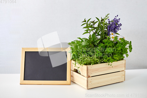 Image of herbs and flowers in wooden box with chalkboard