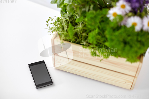 Image of smartphone with herbs and flowers in box