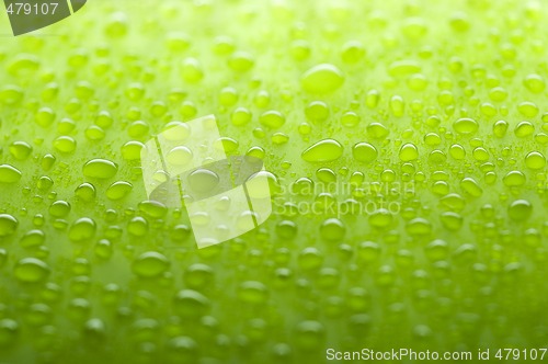 Image of waterdrops