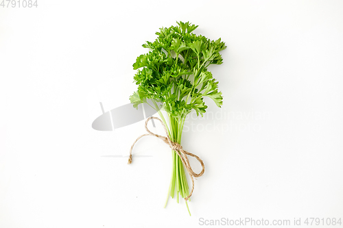 Image of bunch of parsley on white background