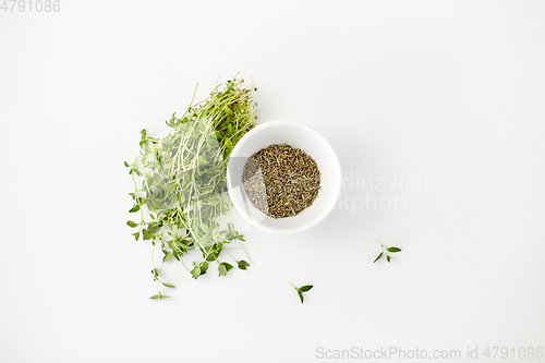 Image of fresh thyme and dry seasoning on white background