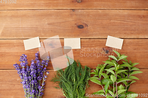 Image of lavender, dill and peppermint on wooden background
