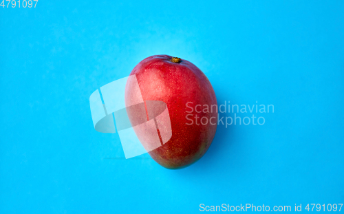 Image of close up of ripe mango on blue background