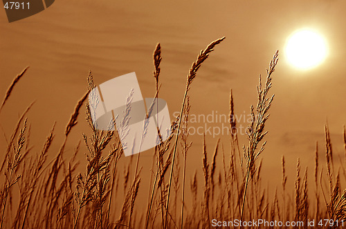 Image of Sunset