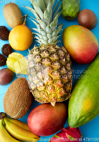 Image of many different exotic fruits on blue background