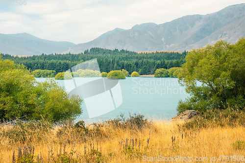 Image of Lake Tekapo in New Zealand