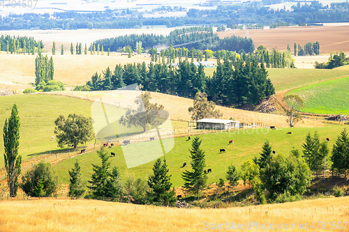 Image of landscape scenery at south island New Zealand