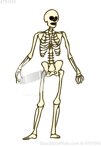 Image of skeleton doodle clipart