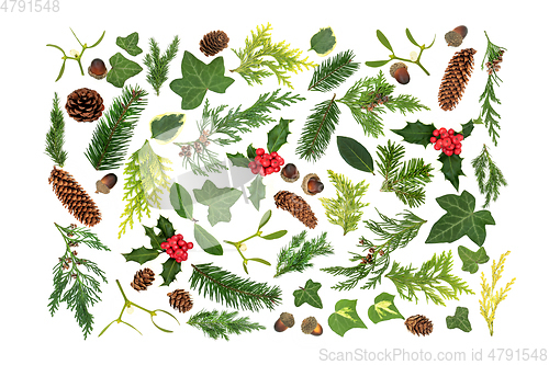 Image of Traditional English Winter Greenery and Flora