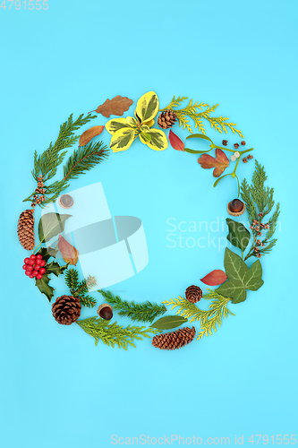 Image of Natural Winter Solstice and Christmas Wreath  