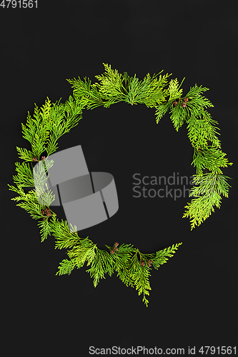 Image of Evergreen Abstract Cedar Leaf Wreath 