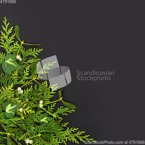 Image of Winter Solstice Greenery Background Border