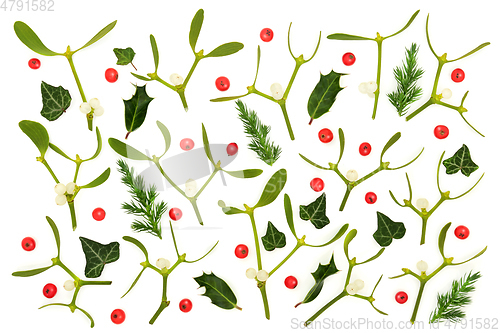 Image of Holly Berry Mistletoe and Fir Background Composition