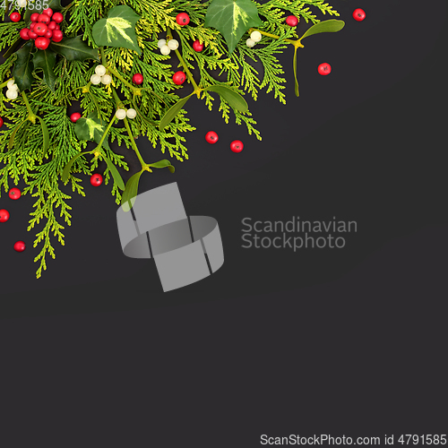 Image of Natural Winter Holly and Flora Background