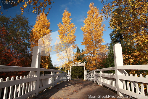 Image of Autumn