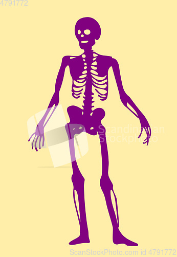 Image of skeleton doodle clipart