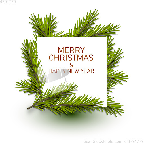 Image of  christmas background fir branches