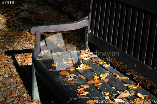 Image of Bank in autumn