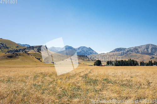 Image of Castle Hill New Zealand