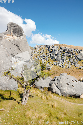 Image of Castle Hill New Zealand