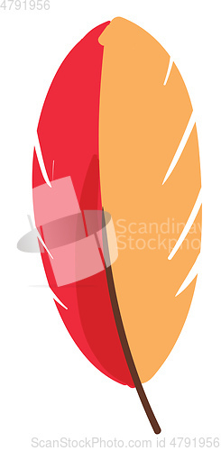 Image of Red and yellow feather vector or color illustration