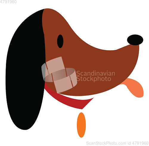 Image of Brown dog with golden badge vector or color illustration