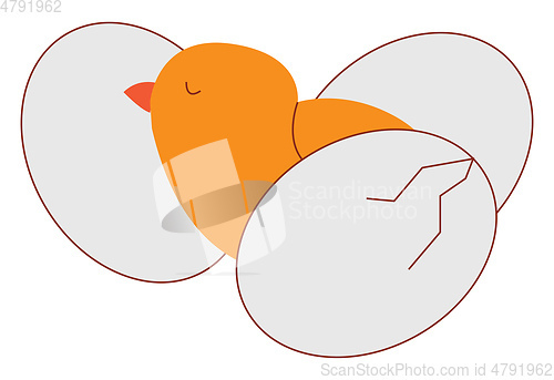 Image of Little chicken between eggsillustration vector on white backgrou