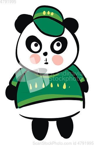 Image of Cute black and white panda dressed in green sweater and green ca