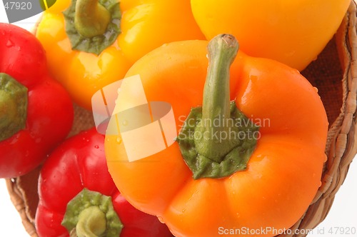 Image of peppers 7