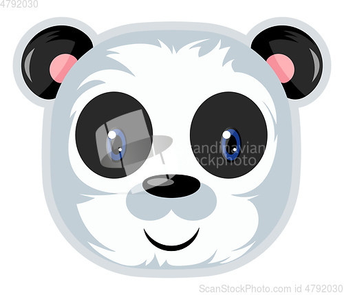 Image of White Bear, vector color illustration.