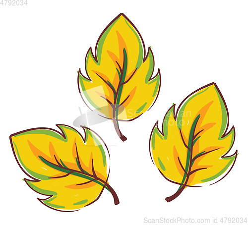 Image of Clipart of yellow autumn leaves vector or color illustration