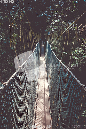 Image of Suspension bridge, Taman Negara national park, Malaysia