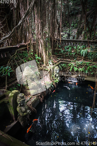 Image of Ganesh statue near a pond in the Monkey Forest, Ubud, Bali, Indo