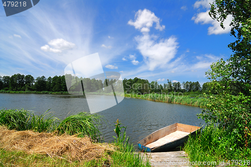 Image of Summer Landscape