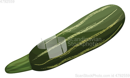 Image of Dark and light green cartoon courgettes vector illustration of v