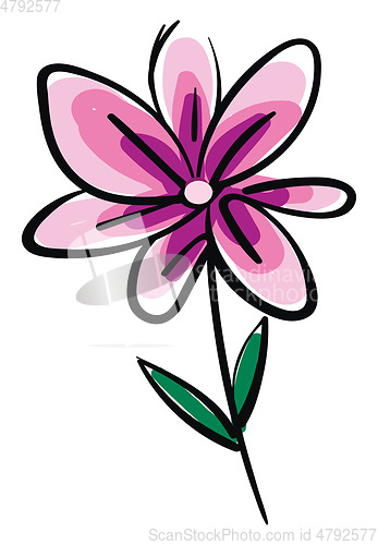 Image of Drawing of pink flower illustration color vector on white backgr