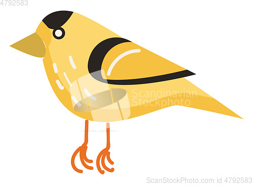 Image of A yellow cartoon bird with beautiful design vector color drawing