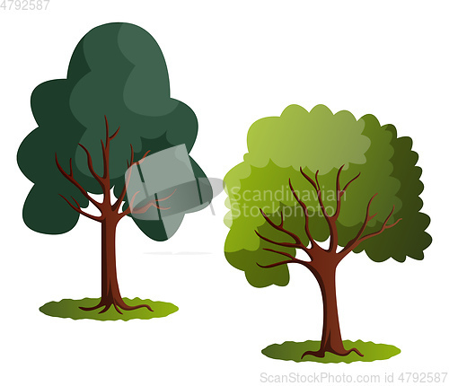 Image of Couple of green trees vector illustration on white background