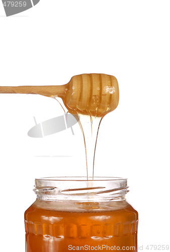 Image of Honey