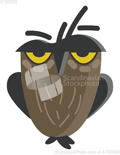 Image of Picture of an owl a nocturnal bird of grey and black color vecto