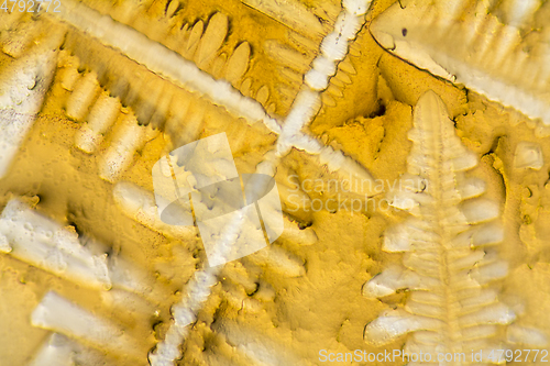 Image of fluid seasoning microcrystals