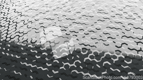 Image of abstract black and white cells background