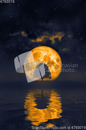 Image of orange moon and a tree