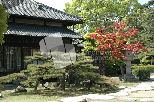 Image of Japanese garden