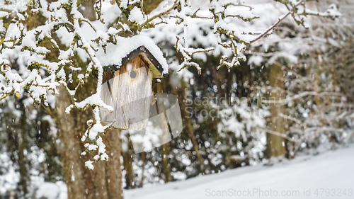 Image of bird house in winter snow