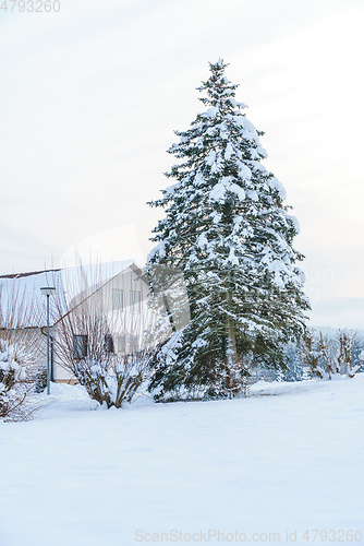 Image of cold winter snow scenery 